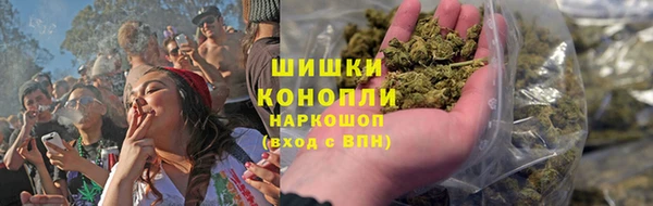 стаф Щигры