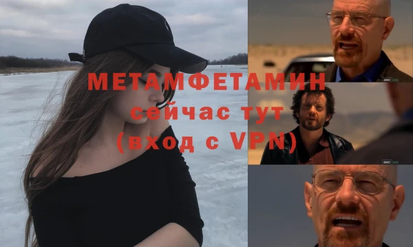 стаф Щигры