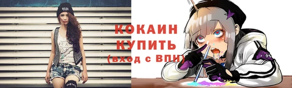 прущие грибы Щёлкино
