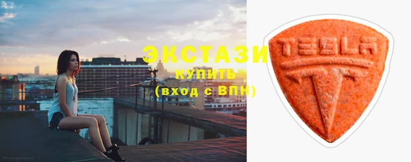 стаф Щигры
