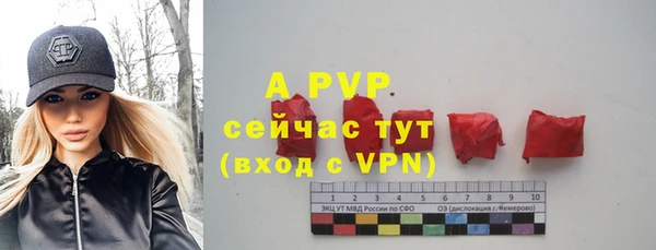 стаф Щигры