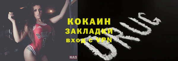 стаф Щигры