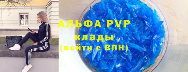прущие грибы Щёлкино