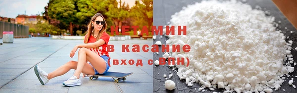 стаф Щигры
