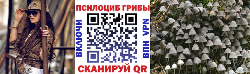 где продают   Каменск-Уральский  Галлюциногенные грибы Magic Shrooms 